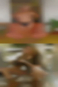 Sudbury swingers 40 to 50 years wife swapping.
